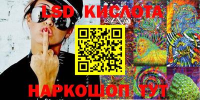 PSILOCYBIN Обнинск